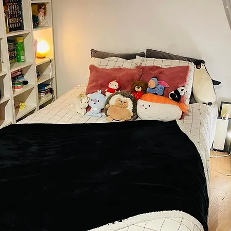 Sousplexe En Bas De Montmartre Апартаменты